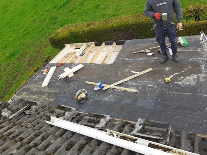 Roof Repair Service In Dublin